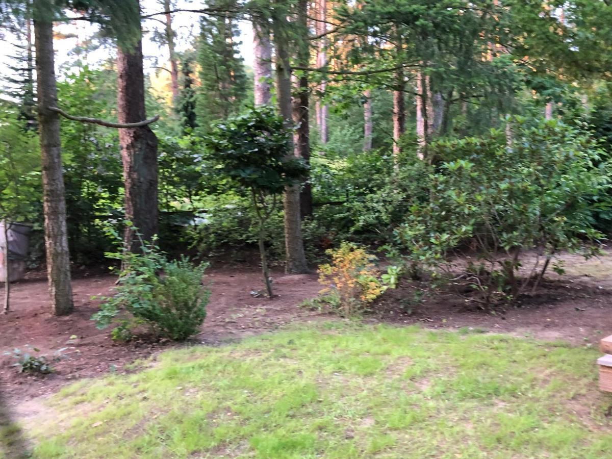 Ferienhaus Reetdach 1300Qm Privatgrundstueck Bootssteg Sauna Templin Luebbesee Uckermark Erholung Pur Seenplatte Petersdorf  Экстерьер фото