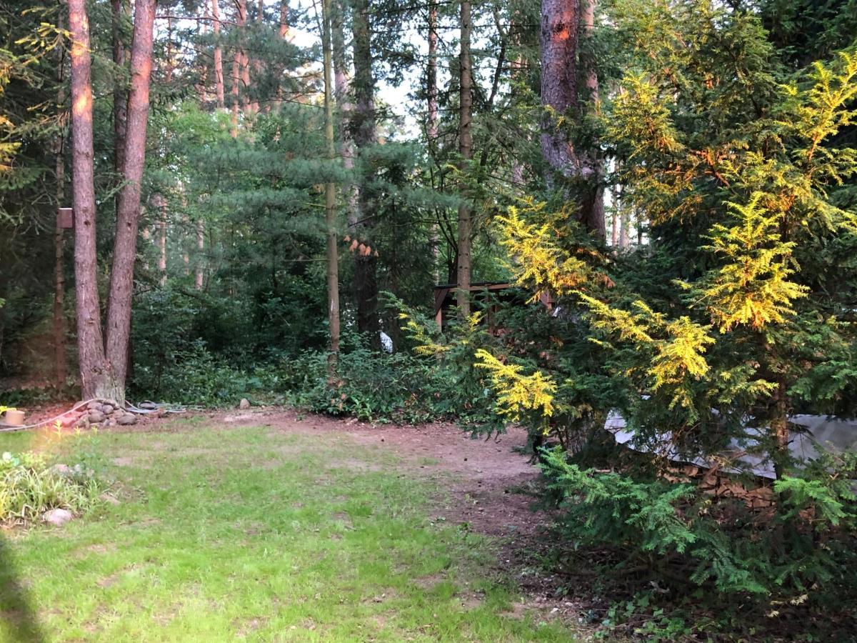 Ferienhaus Reetdach 1300Qm Privatgrundstueck Bootssteg Sauna Templin Luebbesee Uckermark Erholung Pur Seenplatte Petersdorf  Экстерьер фото